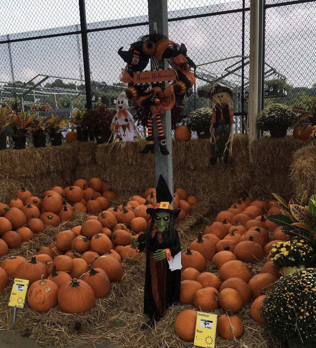 AltaDebarros's tweet photo. It’s looking like Fall in Rome. The 🎃 is ready!@Brad_Peebles @ChrisBergHD https://t.co/3df5f3Feqt