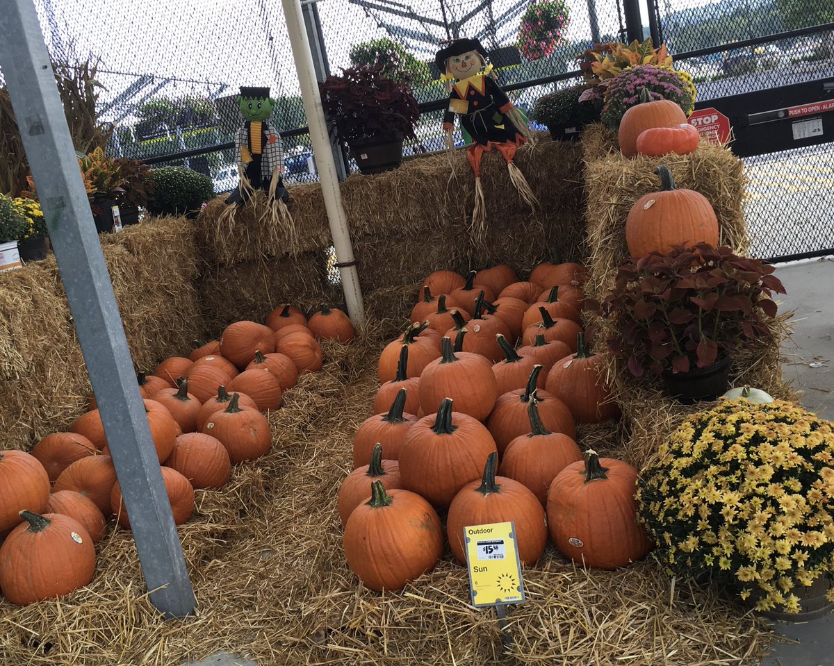 AltaDebarros's tweet photo. It’s looking like Fall in Rome. The 🎃 is ready!@Brad_Peebles @ChrisBergHD https://t.co/3df5f3Feqt
