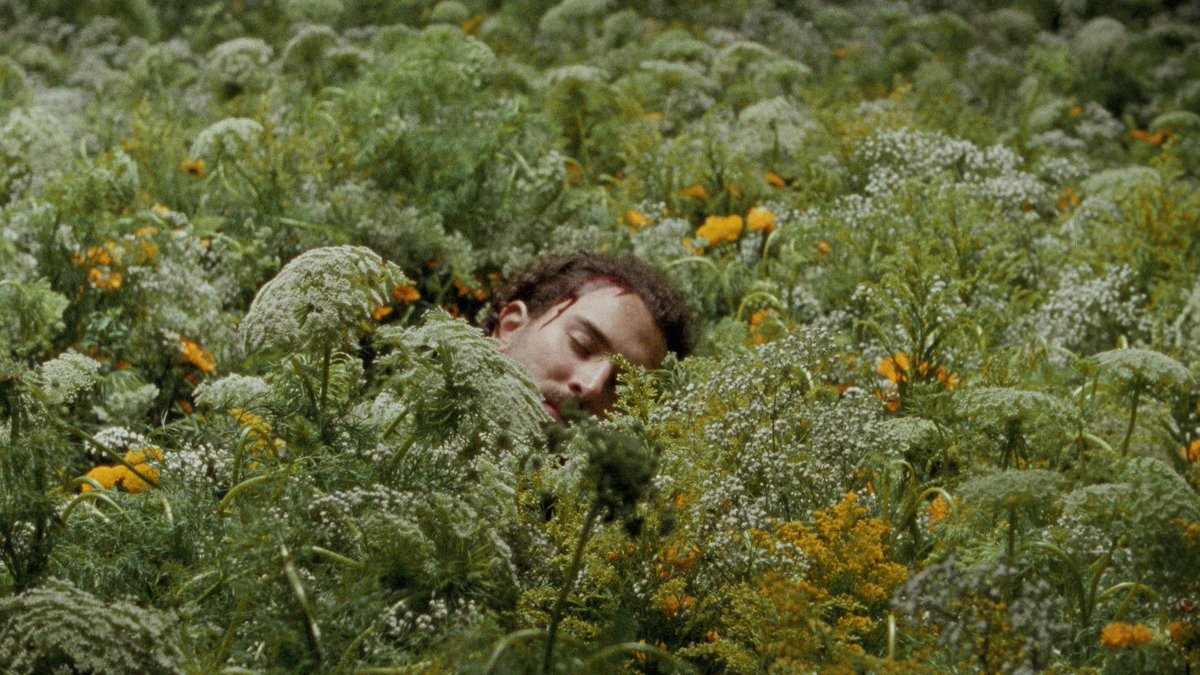Kodak Motion Picture Film (@kodak_shootfilm) on Twitter photo Adventure — <a href="/MonsterRally/">Monster Rally</a>
Director: Zak Marx
DP: Emmett Sutherland
#ShotOnFilm #16mm
Watch: vimeo.com/359837452 Adventure — <a href="/MonsterRally/">Monster Rally</a>
Director: Zak Marx
DP: Emmett Sutherland
#ShotOnFilm #16mm
Watch: vimeo.com/359837452