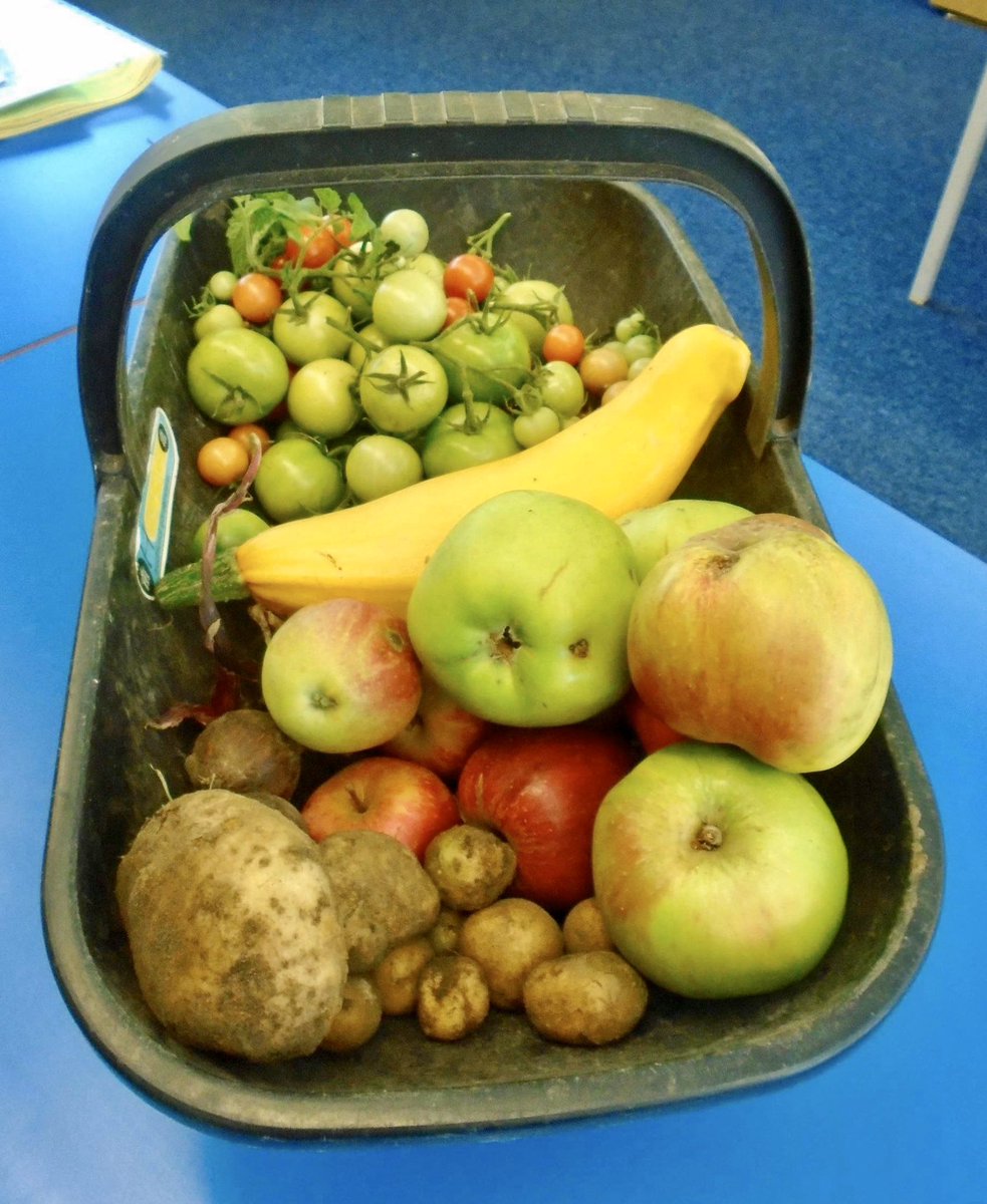 The gardening club has clearly been working very hard to produce this amazing selection of fruit and vegetables. 
If you would like to sample these, they have been made into chutney for sale on Sunday. Better be quick!
Mrs Illingsworth you are amazing 
#outdoorlearning