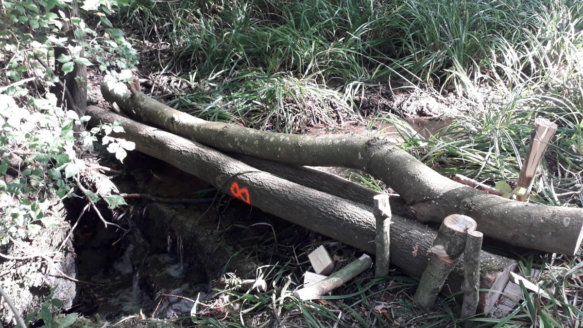 wendy_bufton's tweet photo. NFM update for the Isbourne catchment this week......11 more leaky dams, land re-profiling & creation of wetland areas #NFM #isbourne #slowtheflow @worcscc @EnvAgencyMids @DefraGovUK https://t.co/67c1YY87et