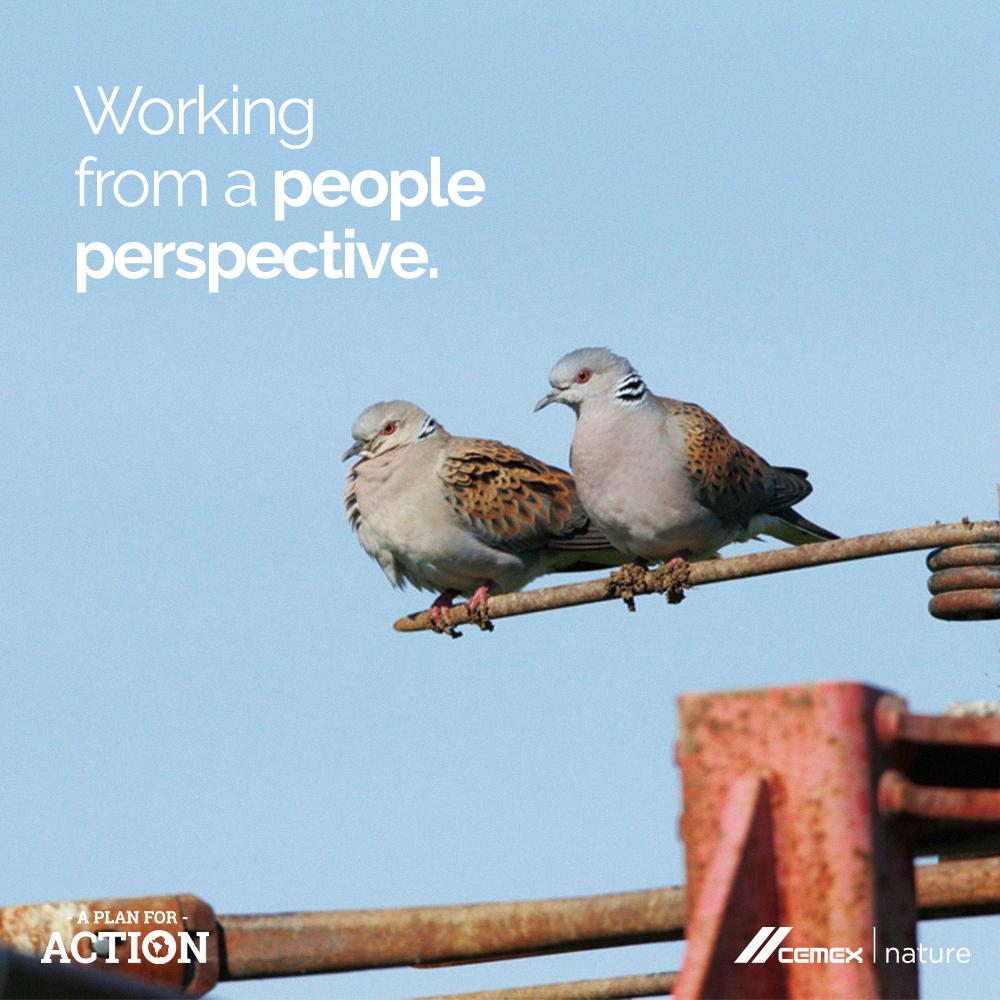 Our process to implement Biodiversity Action Plans truly values a people perspective, which is fundamental to their success. Including a people perspective in our procedures helps ensure our quarries follow all required standards.