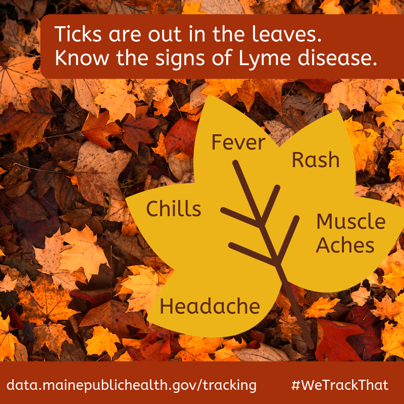 MEPublicHealth's tweet image. You're not the only one who likes the fall leaves. Ticks use them to find protection from the sun. If you head outside and get a tick bite, make sure you know the signs and symptoms of Lyme disease. Learn more at data.mainepublichealth.gov/tracking/tickb…. #WeTrackThat #TickAware #ThursdayThoughts