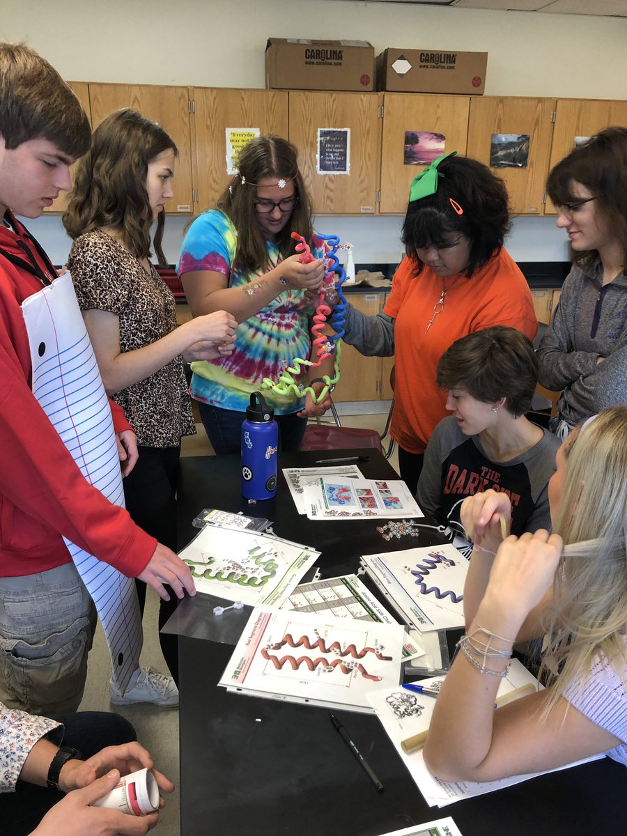 ErinPalese's tweet photo. AP Bio- how many AP students does it take to make beta-globin? So much fun!!! @SKochPR @PRMathKath https://t.co/jGNlJjVRFg