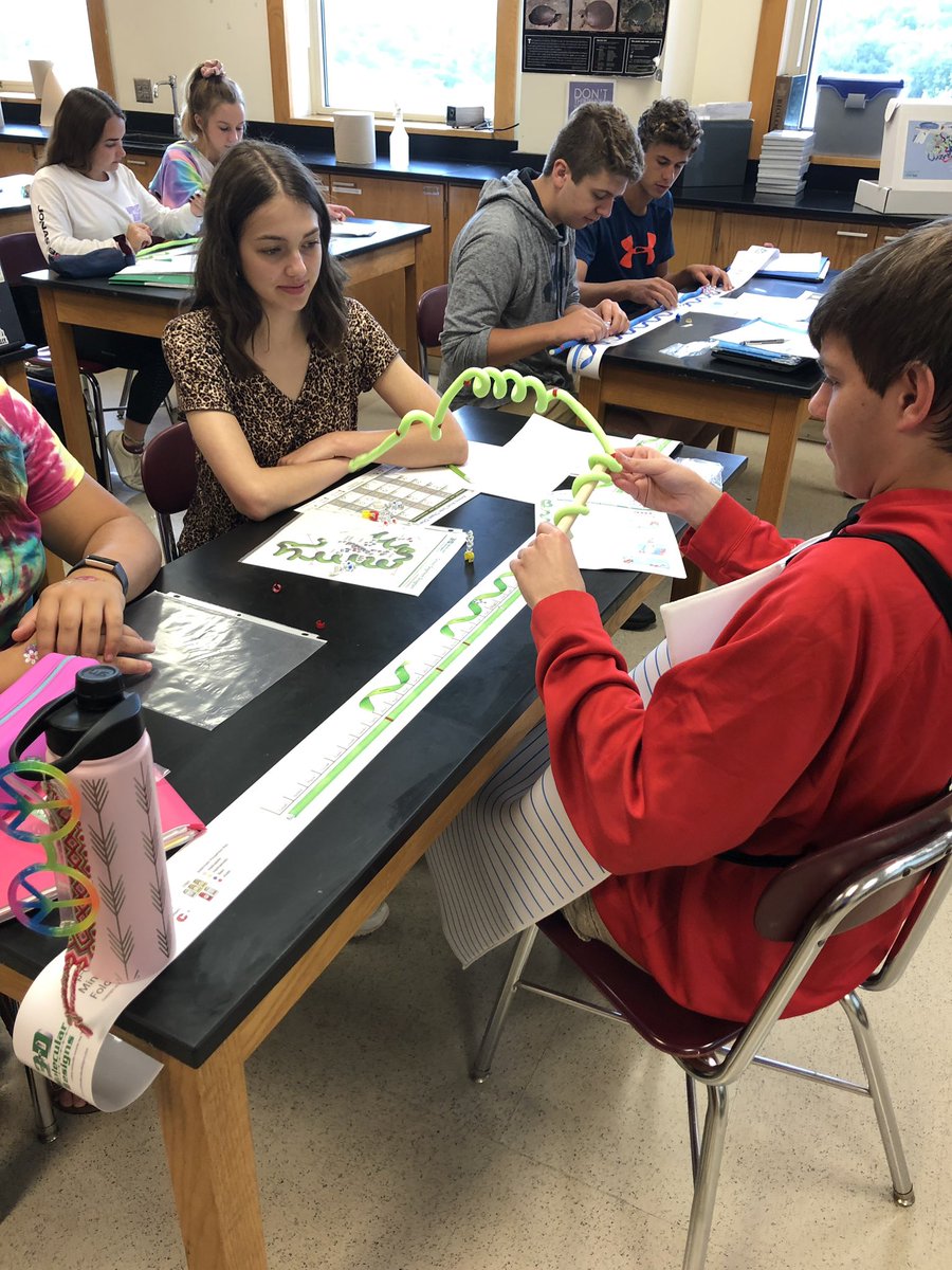 ErinPalese's tweet photo. AP Bio- how many AP students does it take to make beta-globin? So much fun!!! @SKochPR @PRMathKath https://t.co/jGNlJjVRFg