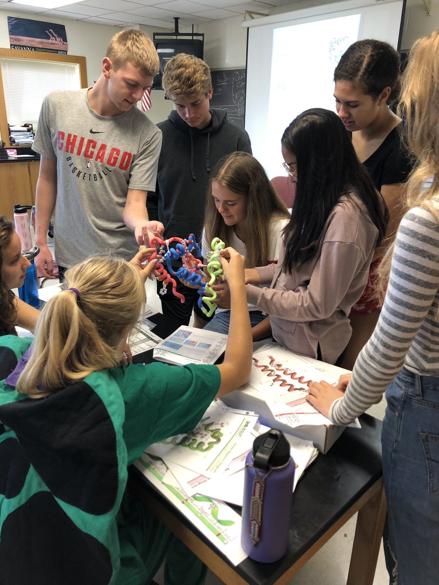 ErinPalese's tweet photo. AP Bio- how many AP students does it take to make beta-globin? So much fun!!! @SKochPR @PRMathKath https://t.co/jGNlJjVRFg