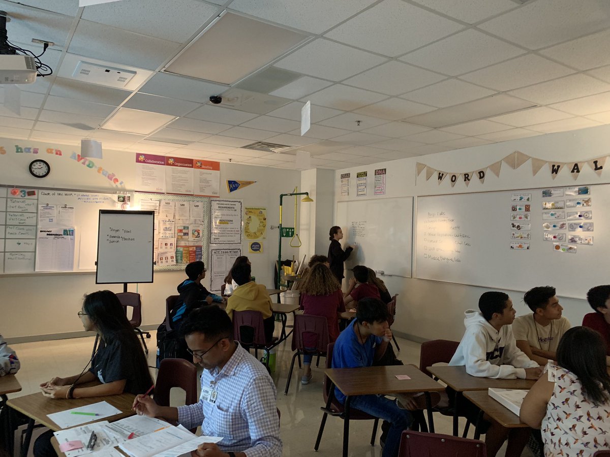 MsRodriguez_C9's tweet photo. Find questions for the answers #lisdavid https://t.co/UMFFA3oejn
