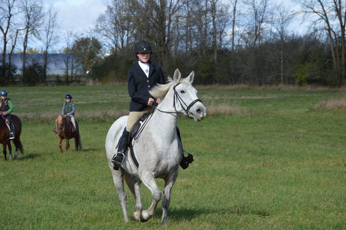 OttawaValley_HC's tweet photo. Be Our Guest!  Calling all junior riders, the annual Ottawa Valley Hunt Junior Invitational is October 19 at 11A.  All juniors ride free!
**To secure a space at this event you must RSVP to Master Jen Stewart at stewartjen@aol.com by October 16 https://t.co/1mfgseDAwL