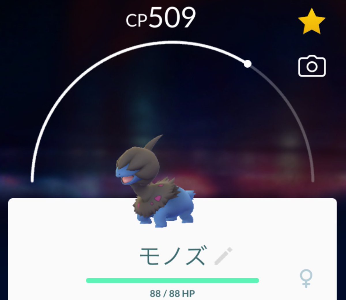 ぽぽ 全部野生で見つけたよ レイドアワー ポケモン ポケモンgo Pokemongo Niantic Shiny 色違い 地域限定 第5世代 野生 モノズ アイアント モグリュー ゴビット ミュウツー