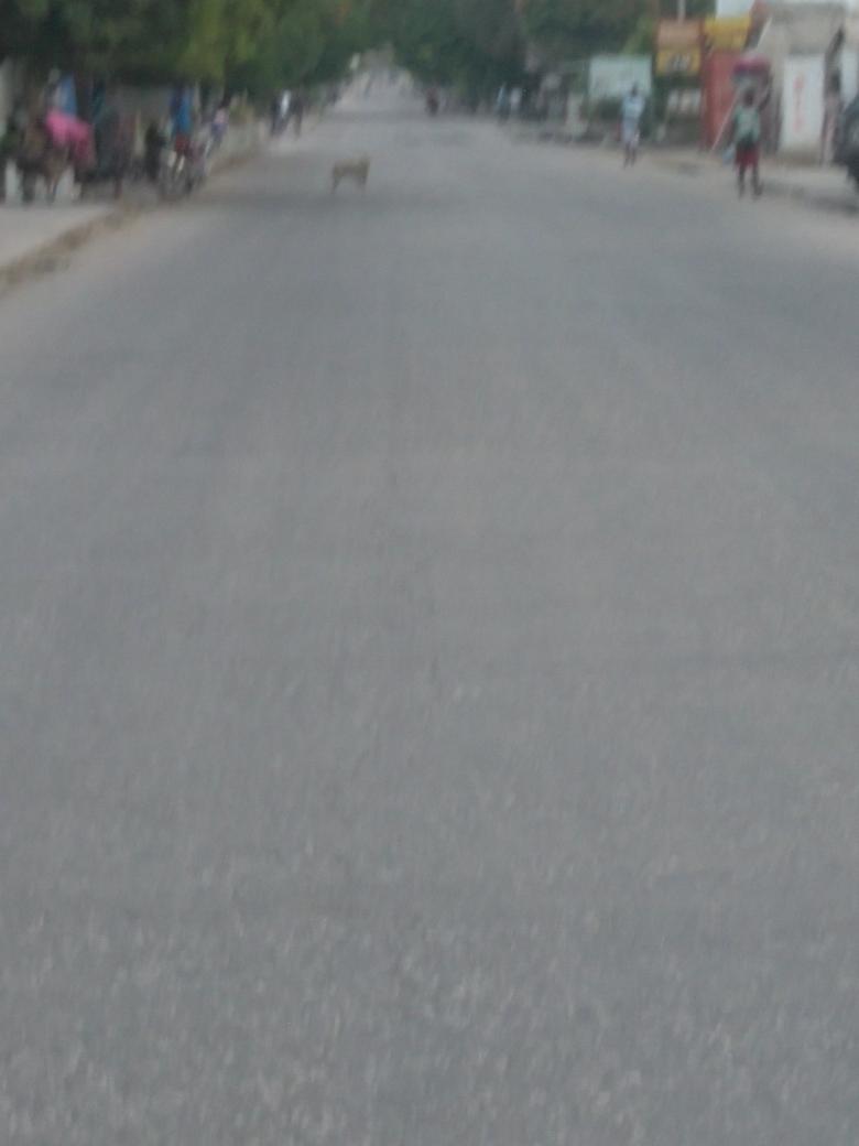PascalGeneral tweet picture