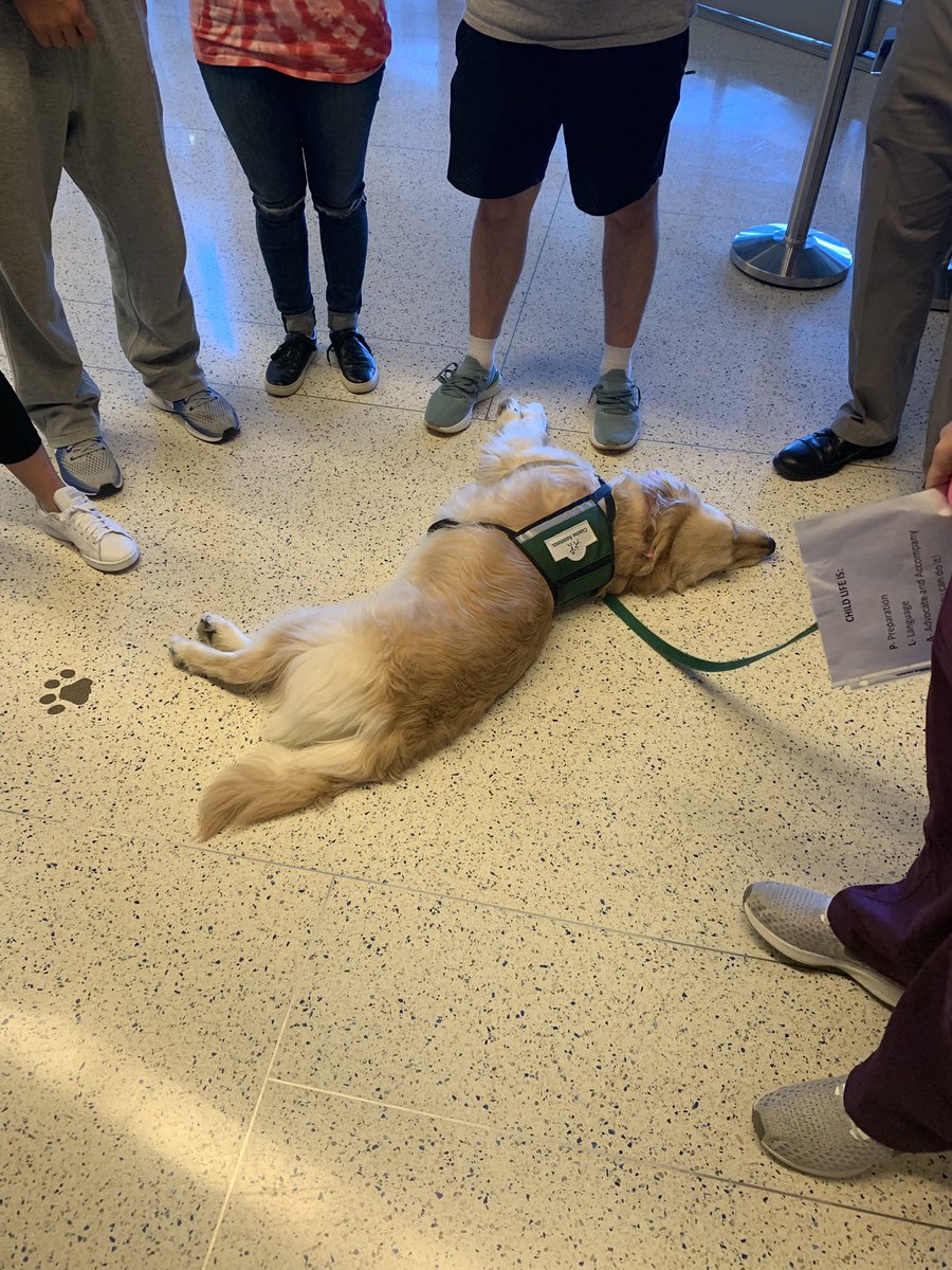 FaithDilworth's tweet photo. Had an inspiring visit to Penn Sate childrenβs hospital! We met reps from social work, child life, Becky the therapy dog, music therapy, research & admin. UTHON helps conquer pediatric cancer one dollar at a time!! #uthon2020 #conqueringchildhoodcancer #commUnity #whodouserve https://t.co/NMcQ0PkWM6