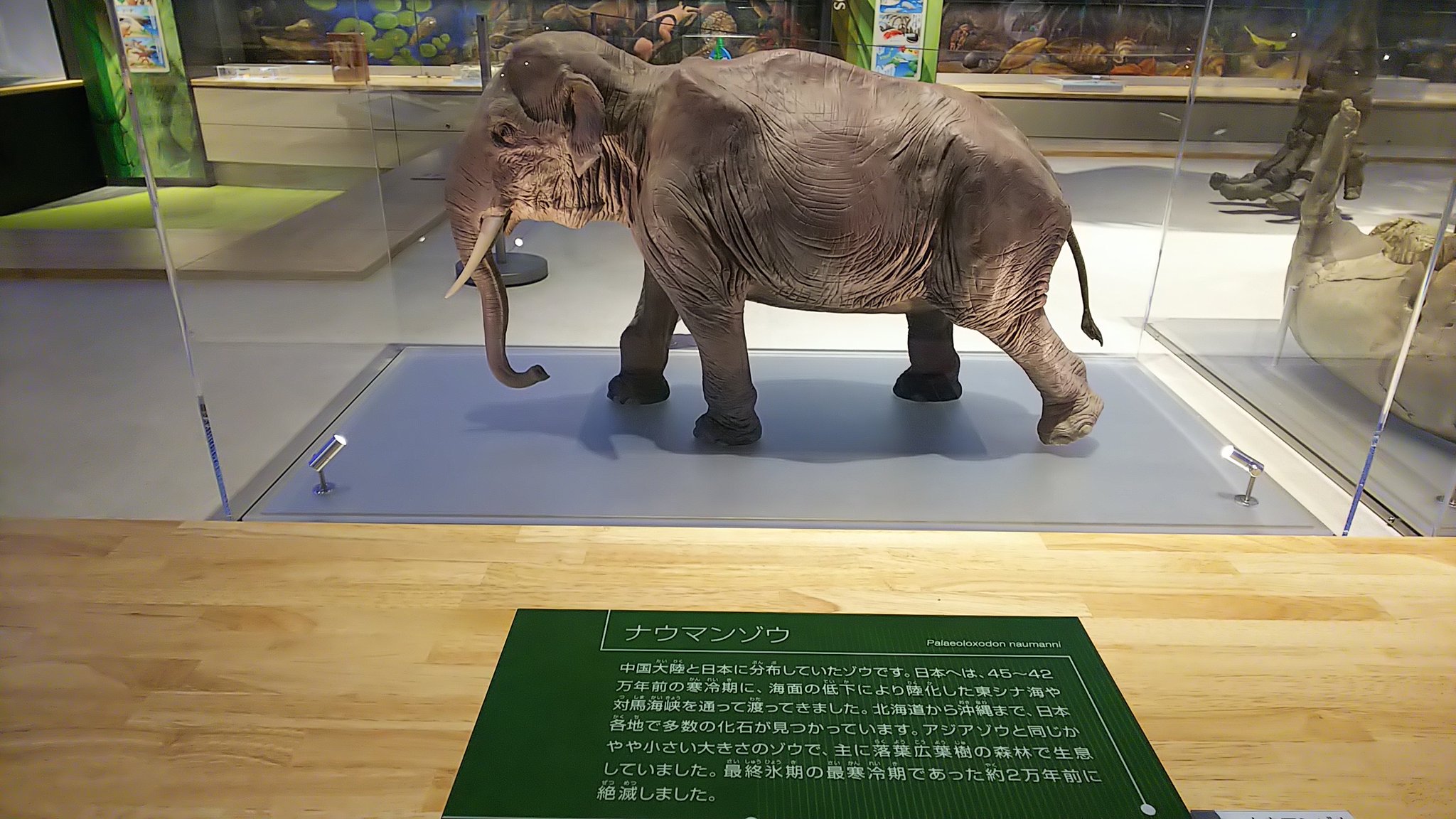 ざっきーエモン on X: 