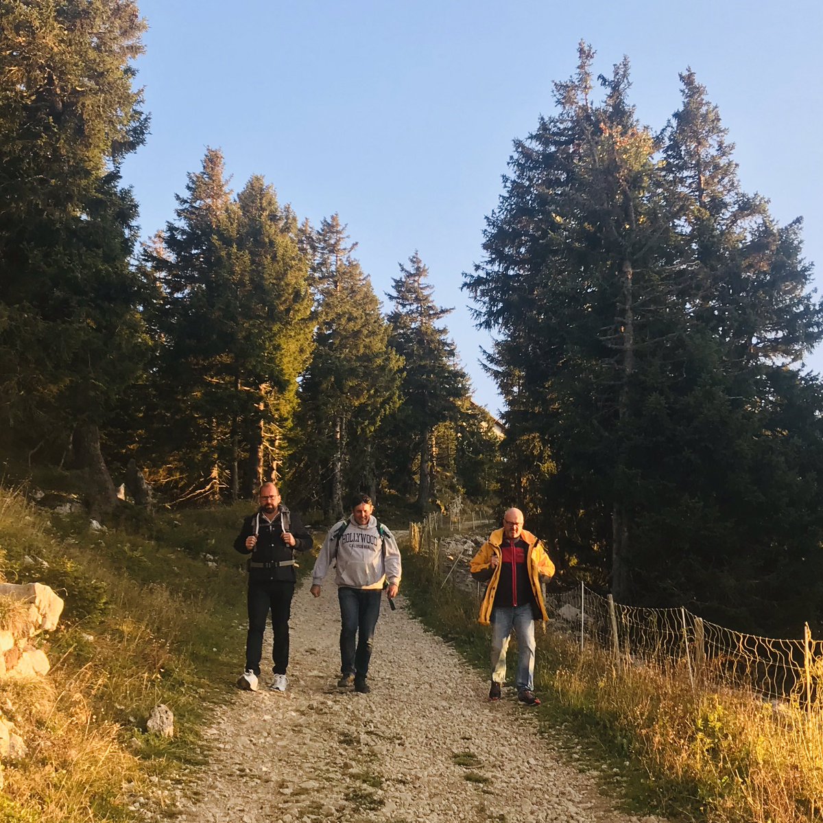 Coaching_Nantes's tweet photo. Hier soir, 12 #dirigeants du club #APM #CapCool en mini-randonnée sur le #Semnoz... Alpages et vue sur le #MontBlanc : une première soirée pour ´se connecter’ les uns aux autres avant la convention #Annecy2019. @pasquier_apm @tweets_Apm https://t.co/JUOuXEgIYO