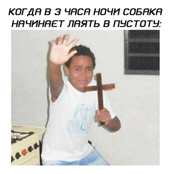 RussianMemesLtd's tweet photo. When at 3:00 a.m., your dog starts barking at the emptiness https://t.co/o8eKPTxvs6