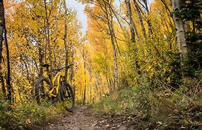 KickapooKeyston's tweet image. The leaves are changing and the air is starting to chill.  Join us this weekend for the last 2 days of Keystone Bike Park.  Stop by the Kickapoo for our last weekend of the summer season!
#Fall #SeasonChanges #LoveNature #LetsBike