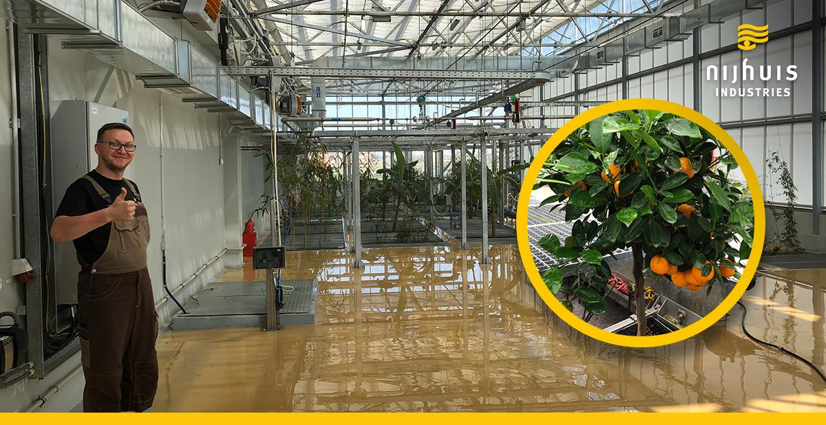 The plants are growing at our #NijhuisIndustries BIOCTOR-Botanic greenhouse wastewater treatment plant. A complete pre-treatment, biological botanic treatment and polishing process turns the wastewater of a large-scale mall in Russia into clean water. #SustainabilityMatters