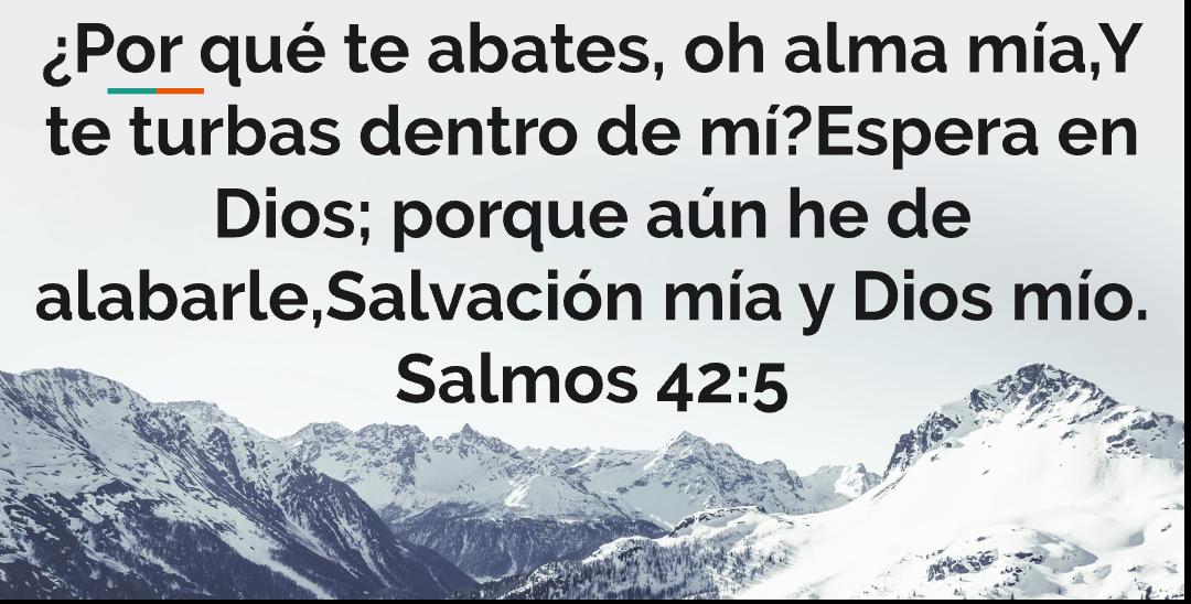 Josem60108396's tweet photo. Apóstol de Jesucristo Naason Joaquín García estamos con UD y le esperamos con amor #honorabl
#lldm
#njg https://t.co/UDa19q5BdA