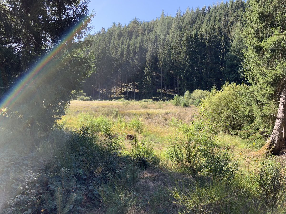 ADB0806's tweet photo. We walked 10kms yesterday just to see the Devil’s Table in #Hinterweidenthal. Stunning scenery on the way and on the way back in the #SüdPfalz . Just beautiful autumnal weather in Germany 🇩🇪 at the moment but the drought is really taking its toll. https://t.co/JTCC7OXrYt