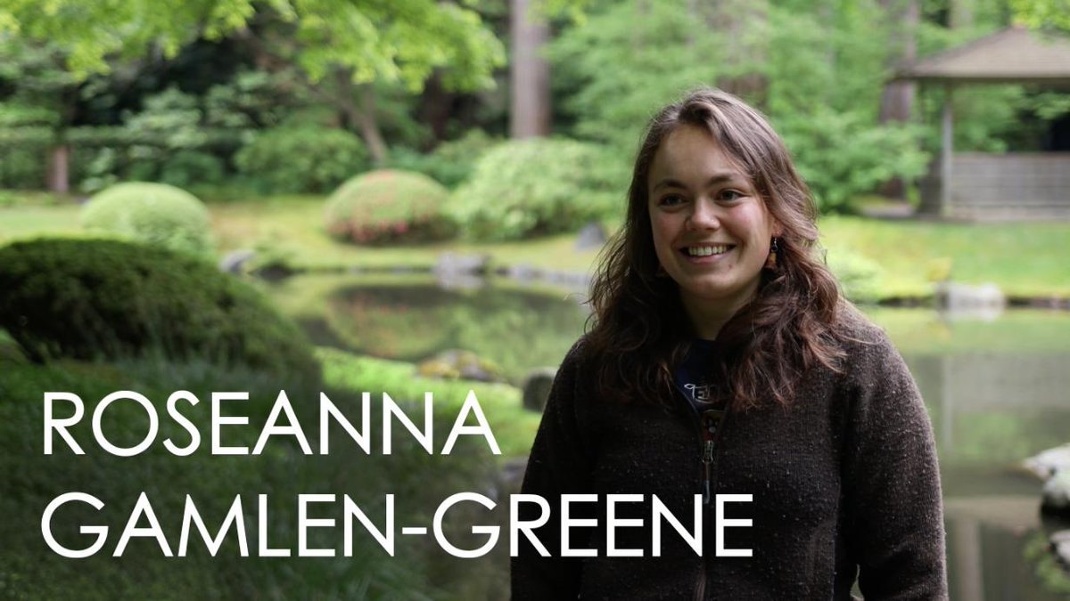 beatymuseum's tweet photo. In our new Researchers Revealed video @ubcforestry researcher Roseanna Gamlen-Greene @TheToadLady describes her research and work on the Western Toad, the only indigenous amphibian on Haida Gwaii. Watch the video here: https://t.co/IWfoRmFQrl #UBC #UBCscience #WesternToad https://t.co/tr2HYGD2w1
