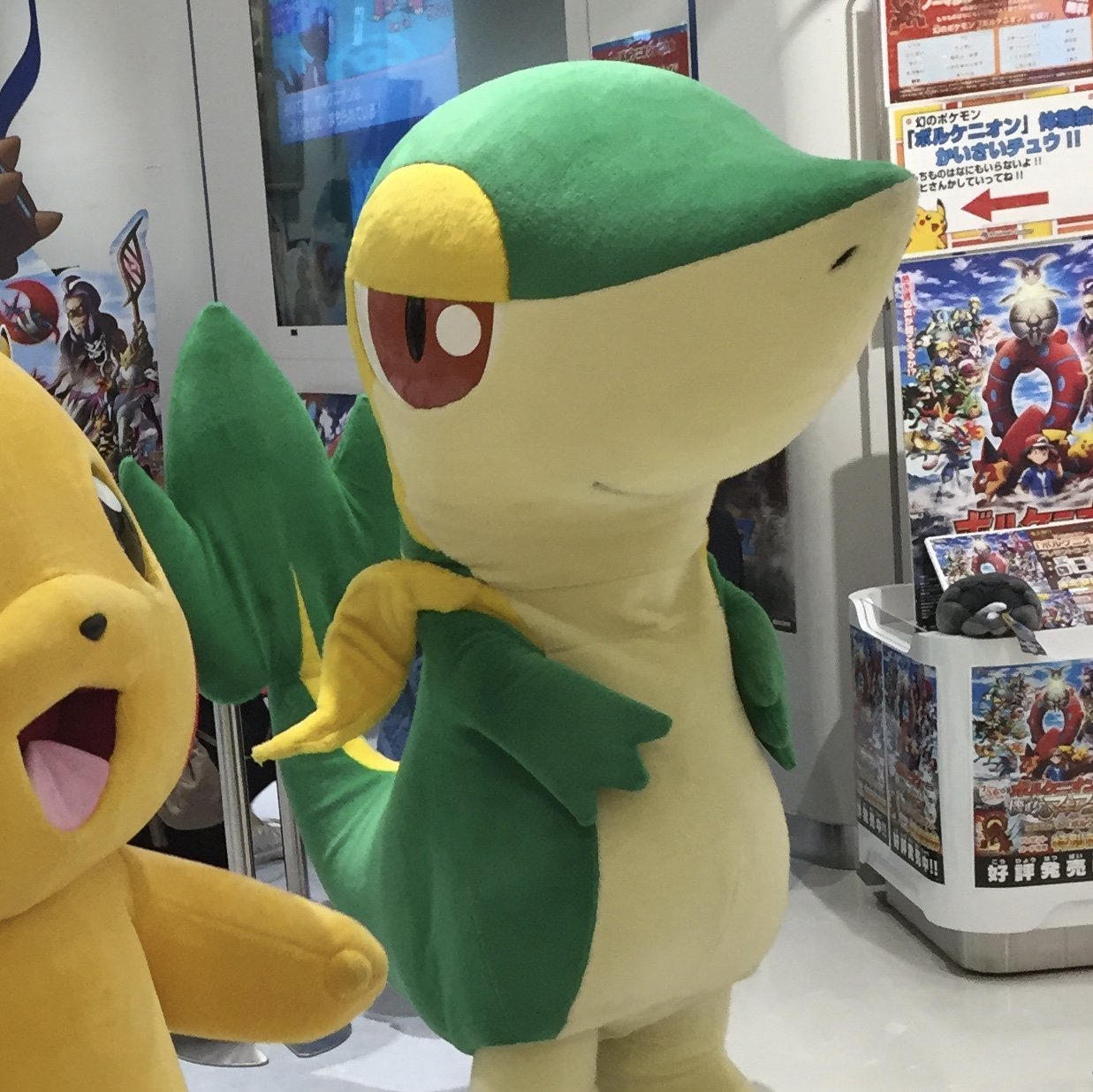 Twitter এ ポケモンセンターnakayama ポケモンgoにツタージャ ピカチュウとツタージャ 16 T Co 1esncwiukz ট ইট র