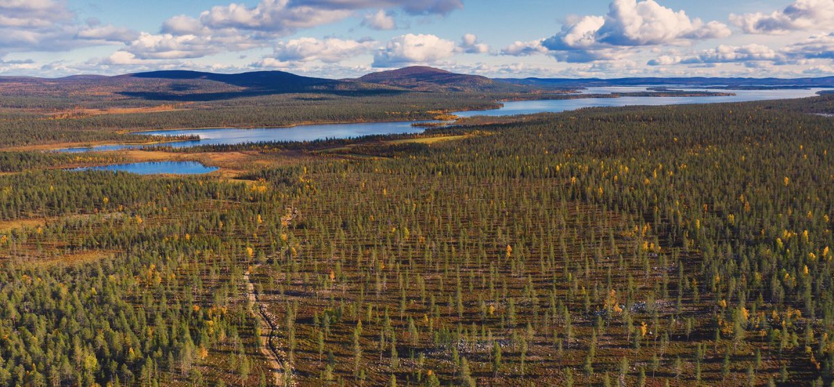 PyryHm's tweet image. Plant a tree and join the Forest Herders. @harriniva_official #carbonoffset #myforest #savetheplanet