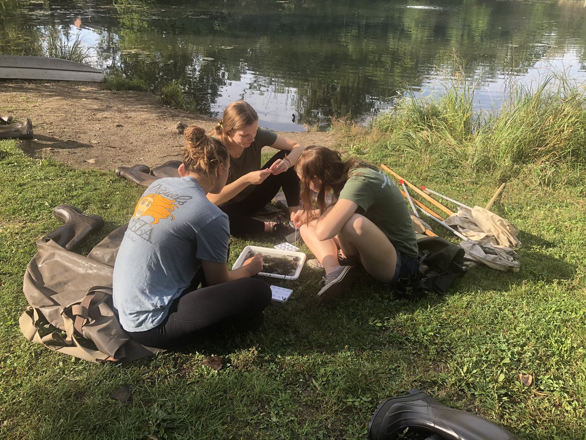 Kristi Ryken tweet media