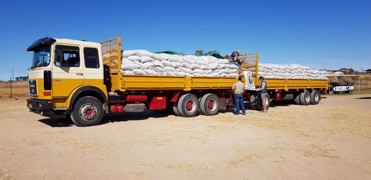 vslandbou's tweet photo. #Farmers from #Jacobsdal, part of #Rietriver #Agri, donating feed loads of #drought pills to farmers in #Sutherland over past few weeks. Feed collected converted into pills. Thanks #WeidemanVoere &amp; 2 churches from #Kby. #DroughtRelief @WOOLFARMER @AgriSAOfficial @jack_armour https://t.co/tUoOZf55qI