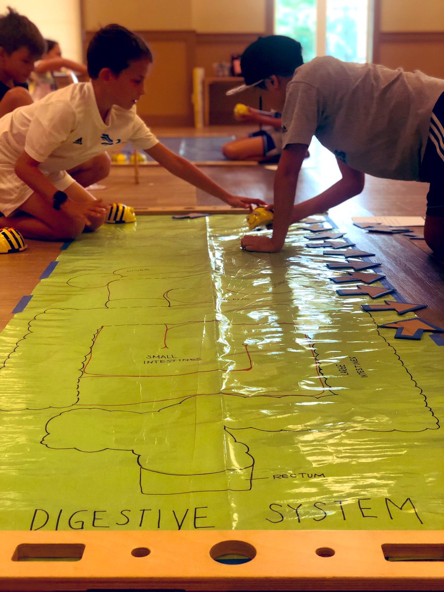 KA_teach's tweet image. How do we learn? We learn through #VirtualReality #AugmentedReality #Beebots #Sphero #MergeCube Studying the human body systems through STEAM! #aislearns @atlantaSTEAM @shaunyk @peluchiflores @jonzamarripa