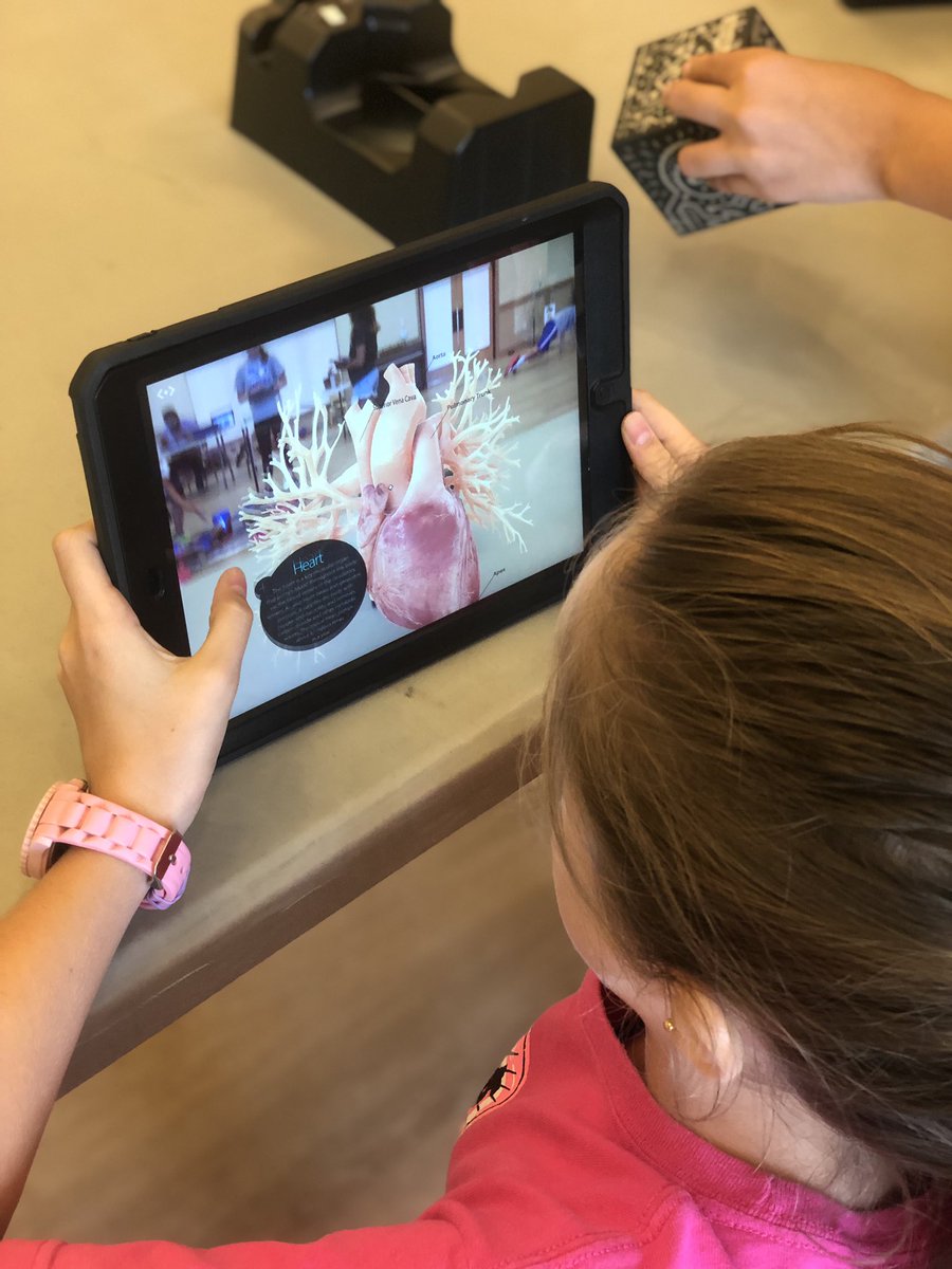 KA_teach's tweet image. How do we learn? We learn through #VirtualReality #AugmentedReality #Beebots #Sphero #MergeCube Studying the human body systems through STEAM! #aislearns @atlantaSTEAM @shaunyk @peluchiflores @jonzamarripa