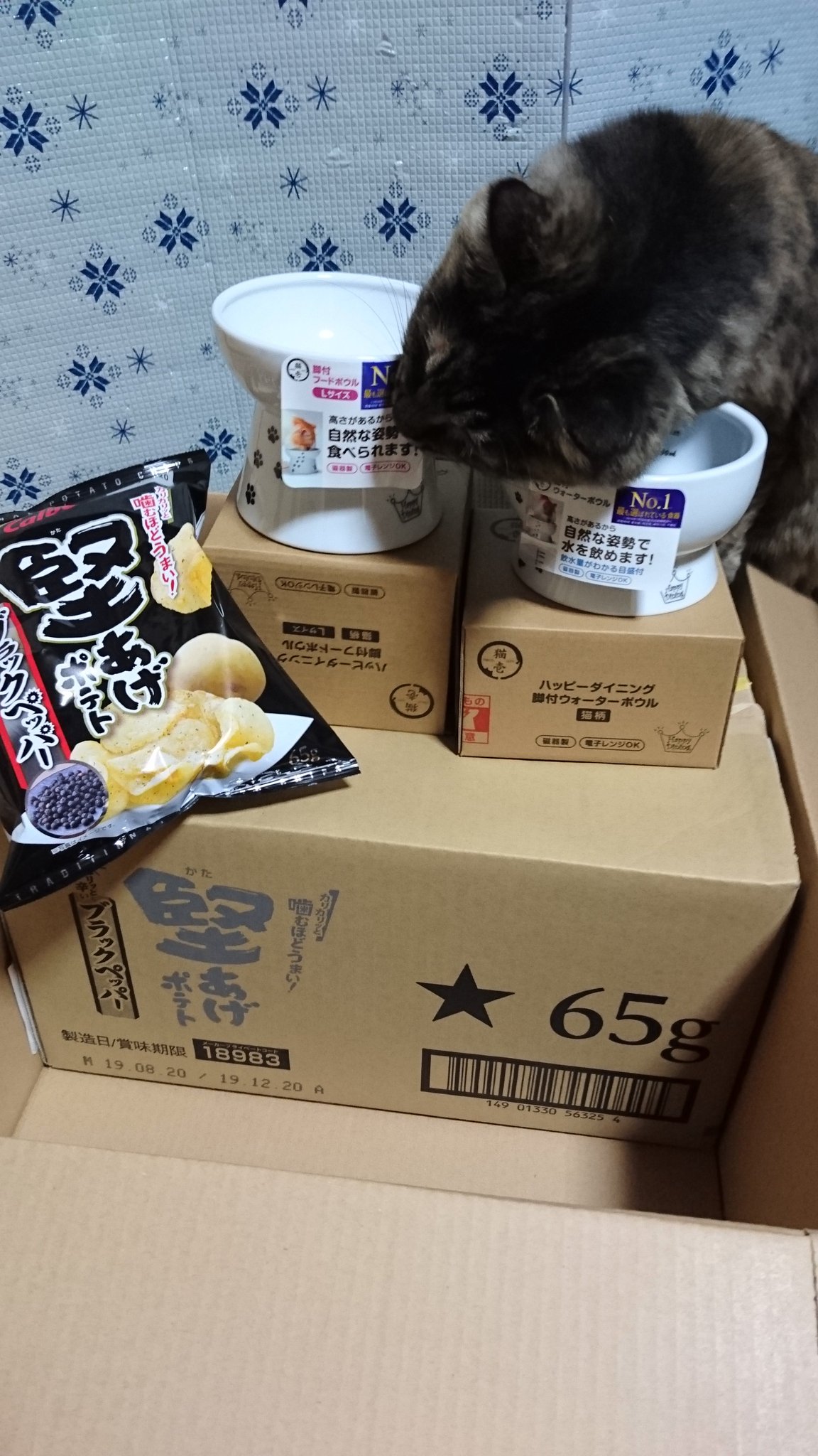 紅の豚＆平成狸合戦ぽんぽこ＆猫の恩返し＆借りぐらしのアリエッティ　特典DVDのみ C96【豚乙女】4日目南ナ06a特設サイト