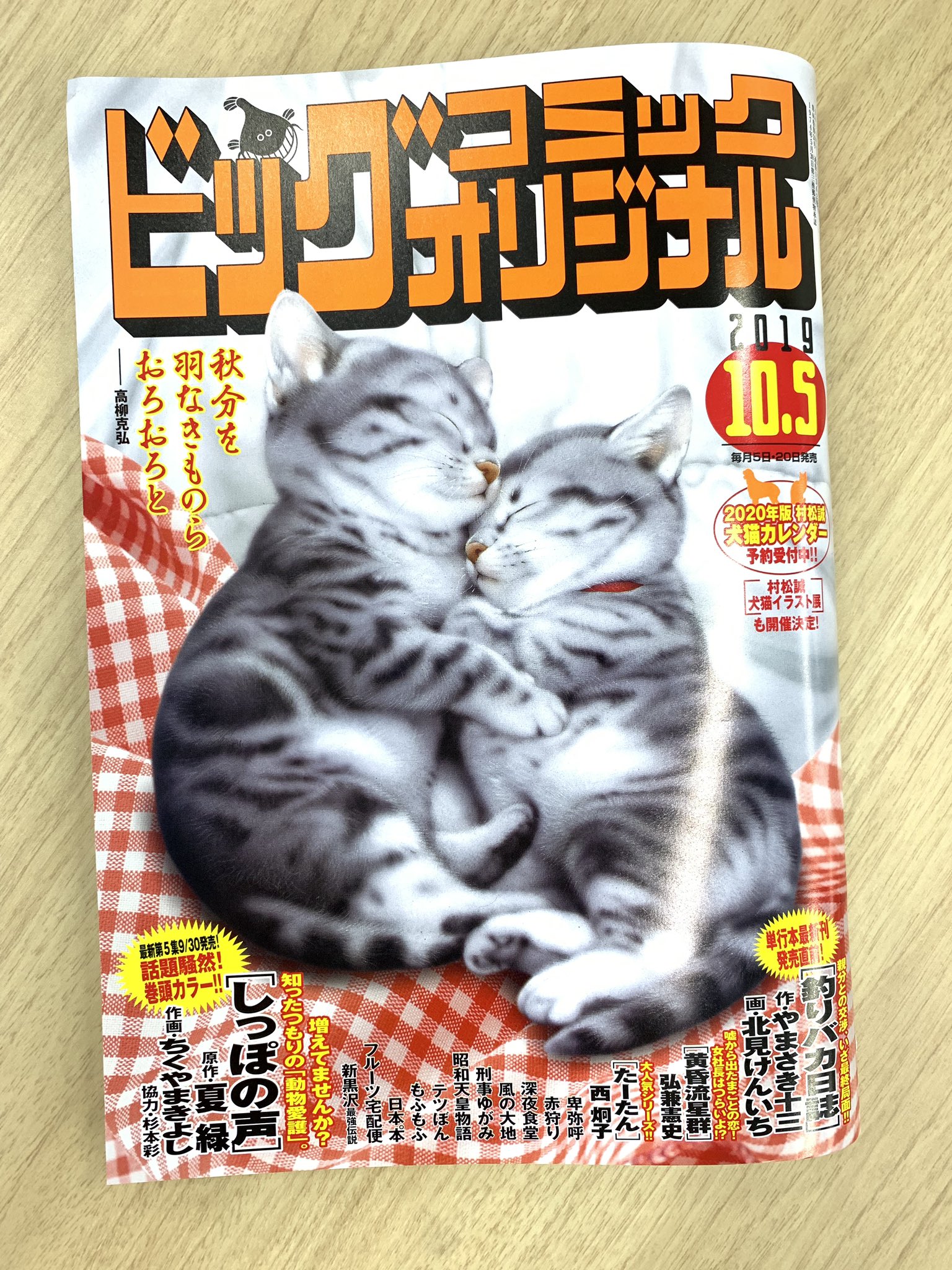 ビッグコミックオリジナル編集部 本日発売 増えてませんか 知ったつもりの 動物愛護 最新刊第 集発売直前巻頭カラー しっぽの声 夏緑 ちくやまきよし 杉本彩 最新 集発売 看護助手のナナちゃん 大人気シリーズ たーたん など