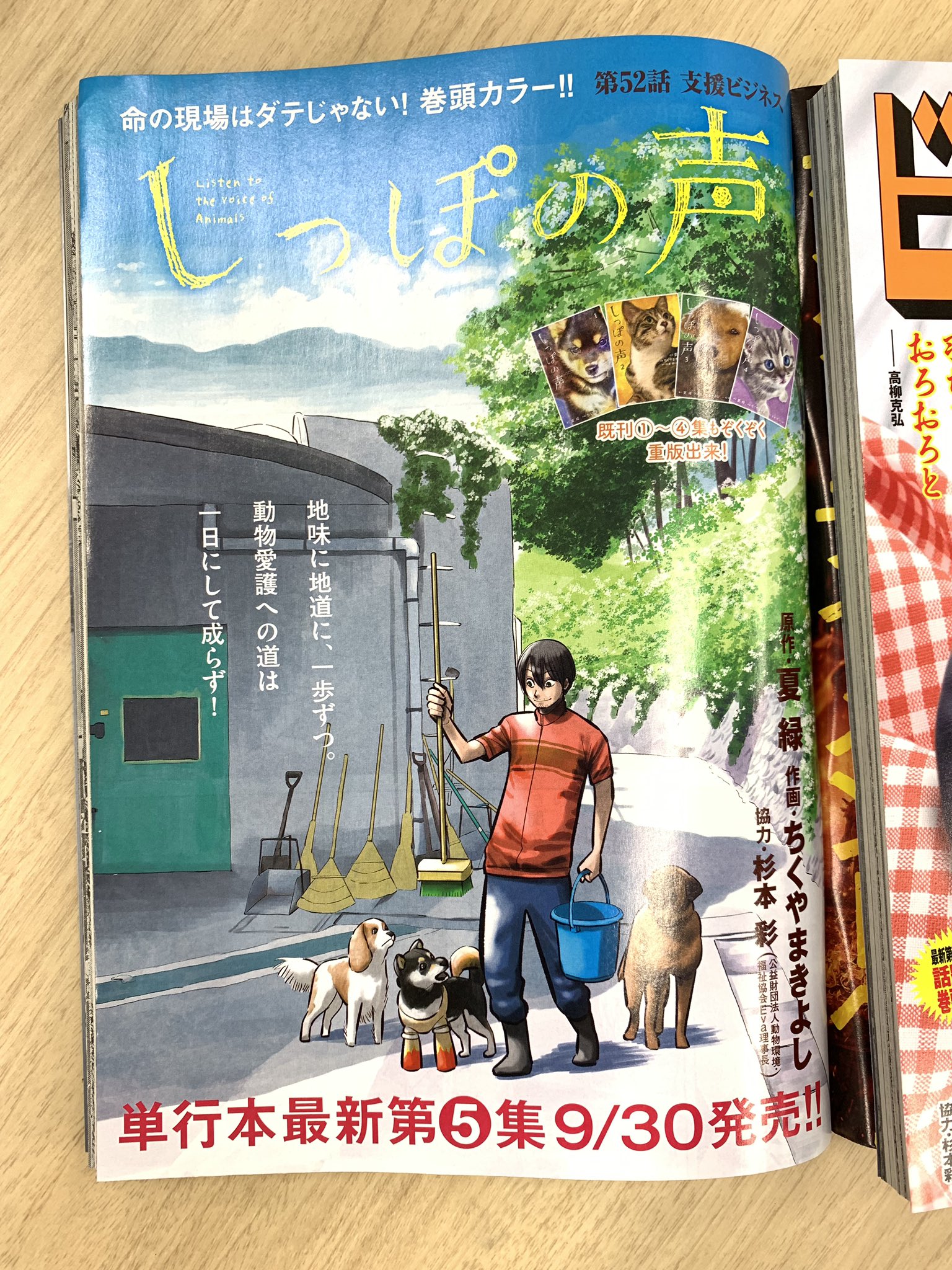 ビッグコミックオリジナル編集部 本日発売 増えてませんか 知ったつもりの 動物愛護 最新刊第 集発売直前巻頭カラー しっぽの声 夏緑 ちくやまきよし 杉本彩 最新 集発売 看護助手のナナちゃん 大人気シリーズ たーたん など