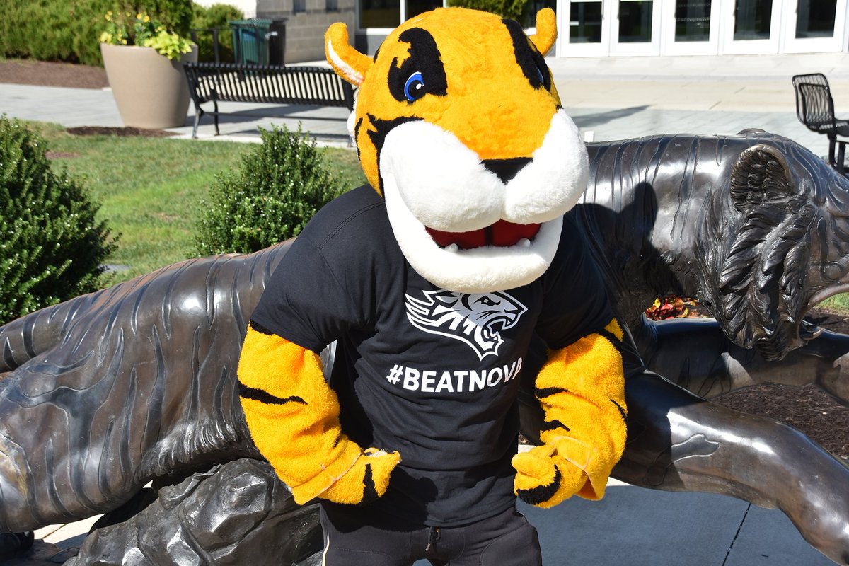 Doc the Tiger tweet media