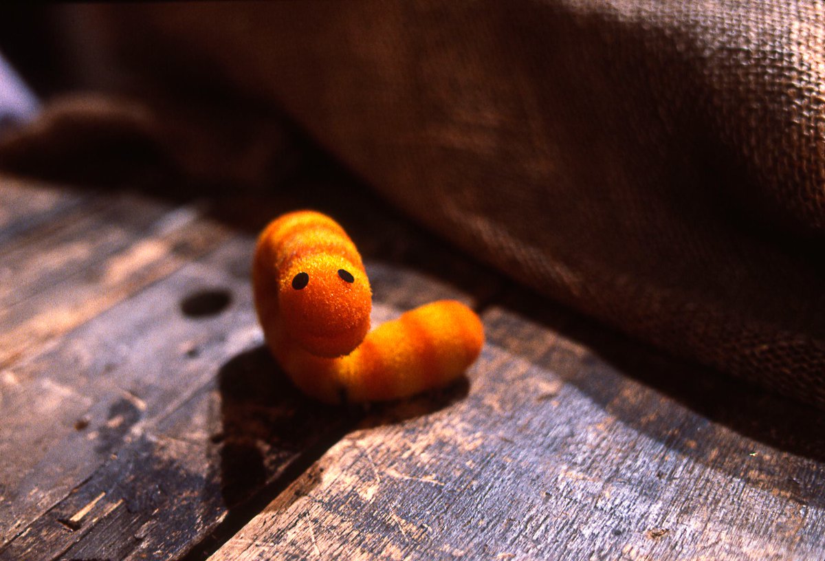 sesamestreet's tweet photo. Happy birthday to our small but mighty friend, Slimey! 🧡 https://t.co/8qbDQKVmyh