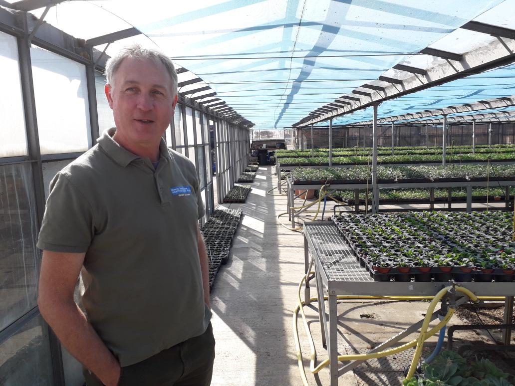 TimL_O's tweet photo. Ian hosting visit @IPPS_Europe #historcroyalpalaces nursery @SouthGrow thanks @Walberton_Nsry beautiful weather clean nursery https://t.co/b7HakANeWl