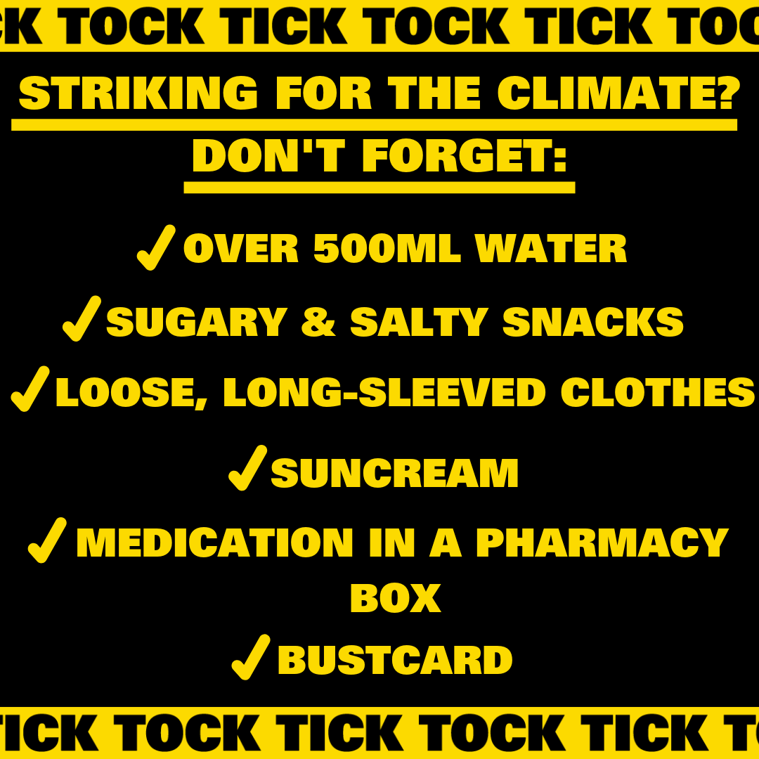 Going on a #ClimateStrike tomorrow? Don't forget to bring these things!

#GlobalClimateStrike <a href="/Strike4Youth/">YouthStrike4Climate</a>