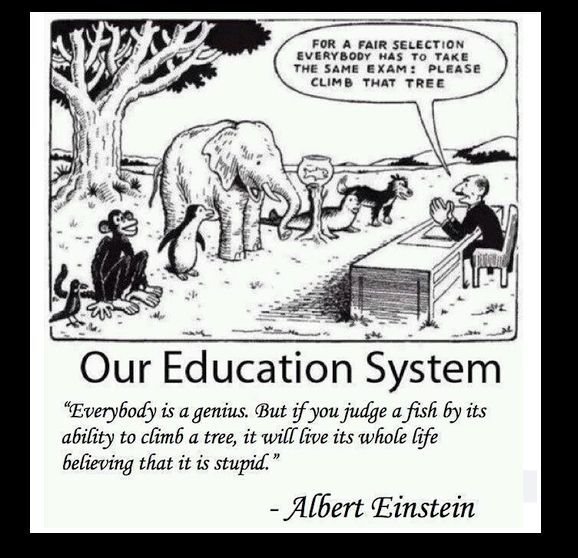 singing_ms's tweet photo. A wonderful cartoon to share.
Our differences make us unique.
#differentlyabled https://t.co/PFimEyedM7