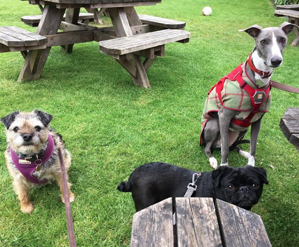 The Partridge Inn tweet media