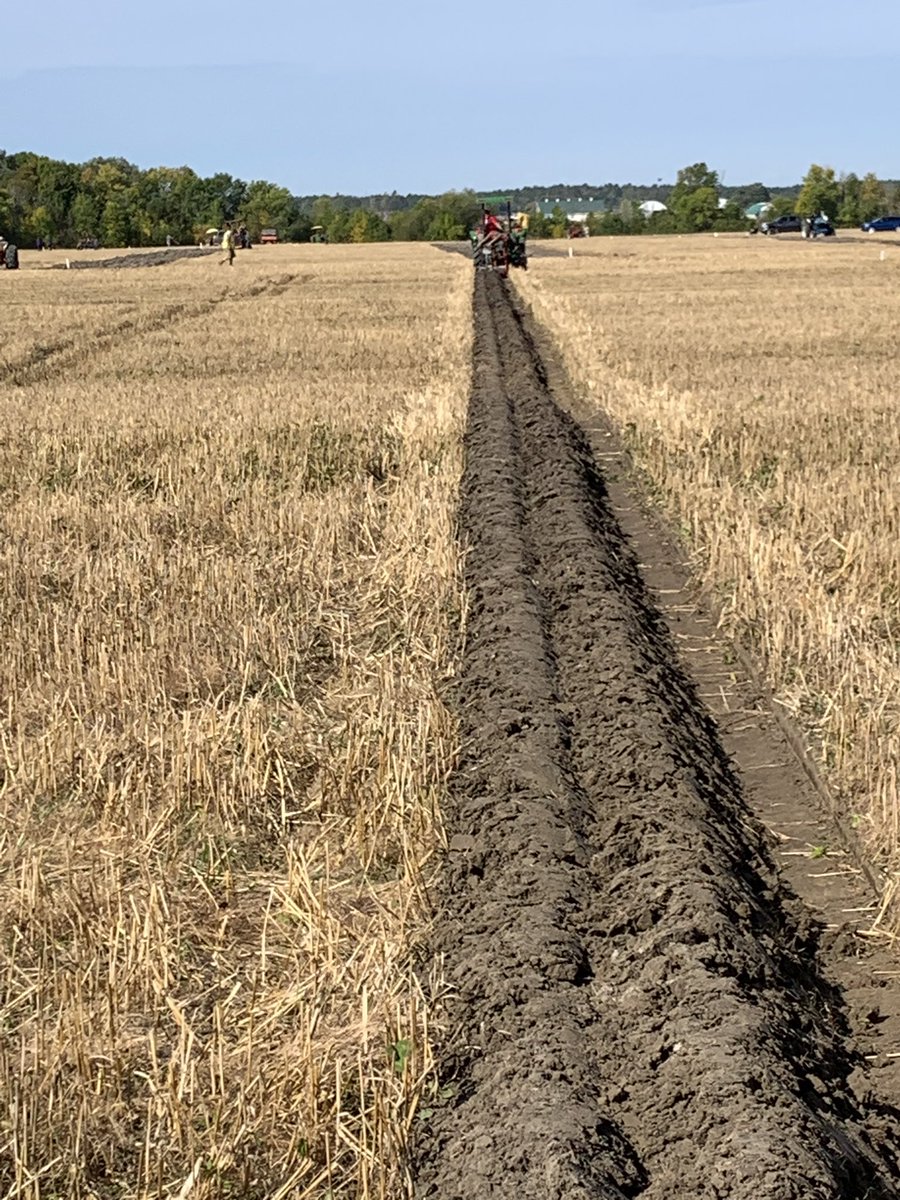 speareseeds's tweet photo. On your mark, get set, go!!! #itsascience https://t.co/2io1GhGAps