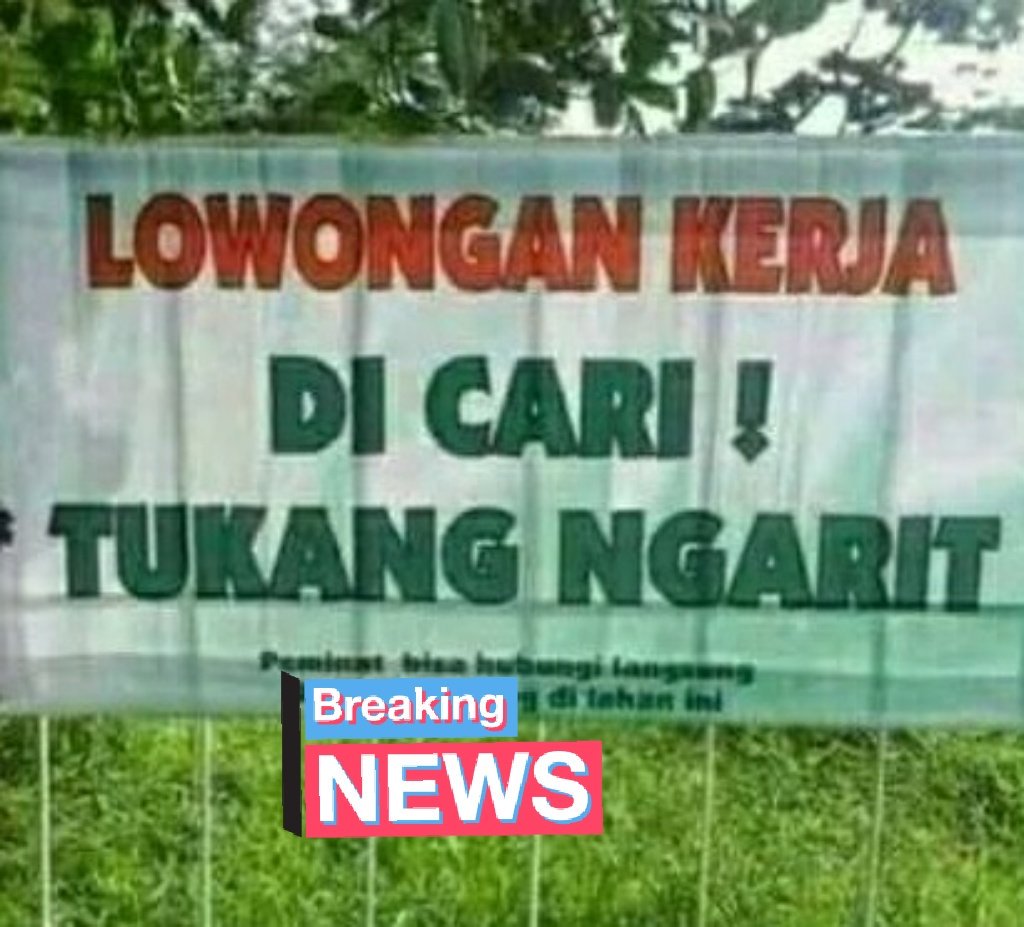 Info Lowongan Kerja Lucu