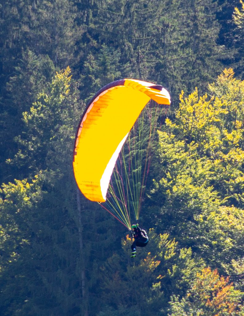 A glorious morning hike
in Bregenzerwald    #visitbregenzerwald
#bregenzerwald #visitvorarlberg #Andelsbuch
@visitbregenzerwald <a href="/visitvorarlberg/">visitvorarlberg</a> #hiking #austria #worklifebalance #holiday #visitaustria #explorevorarlberg