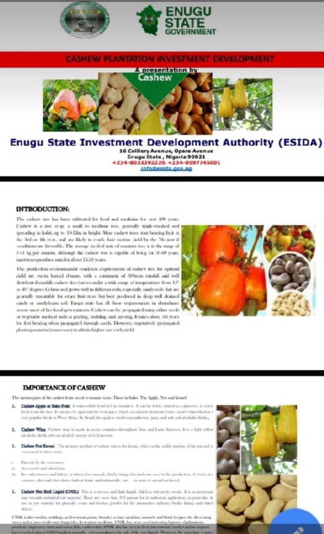 chikodirisonia's tweet photo. Invest in Enugu State https://t.co/CdkzGqlt3Z
