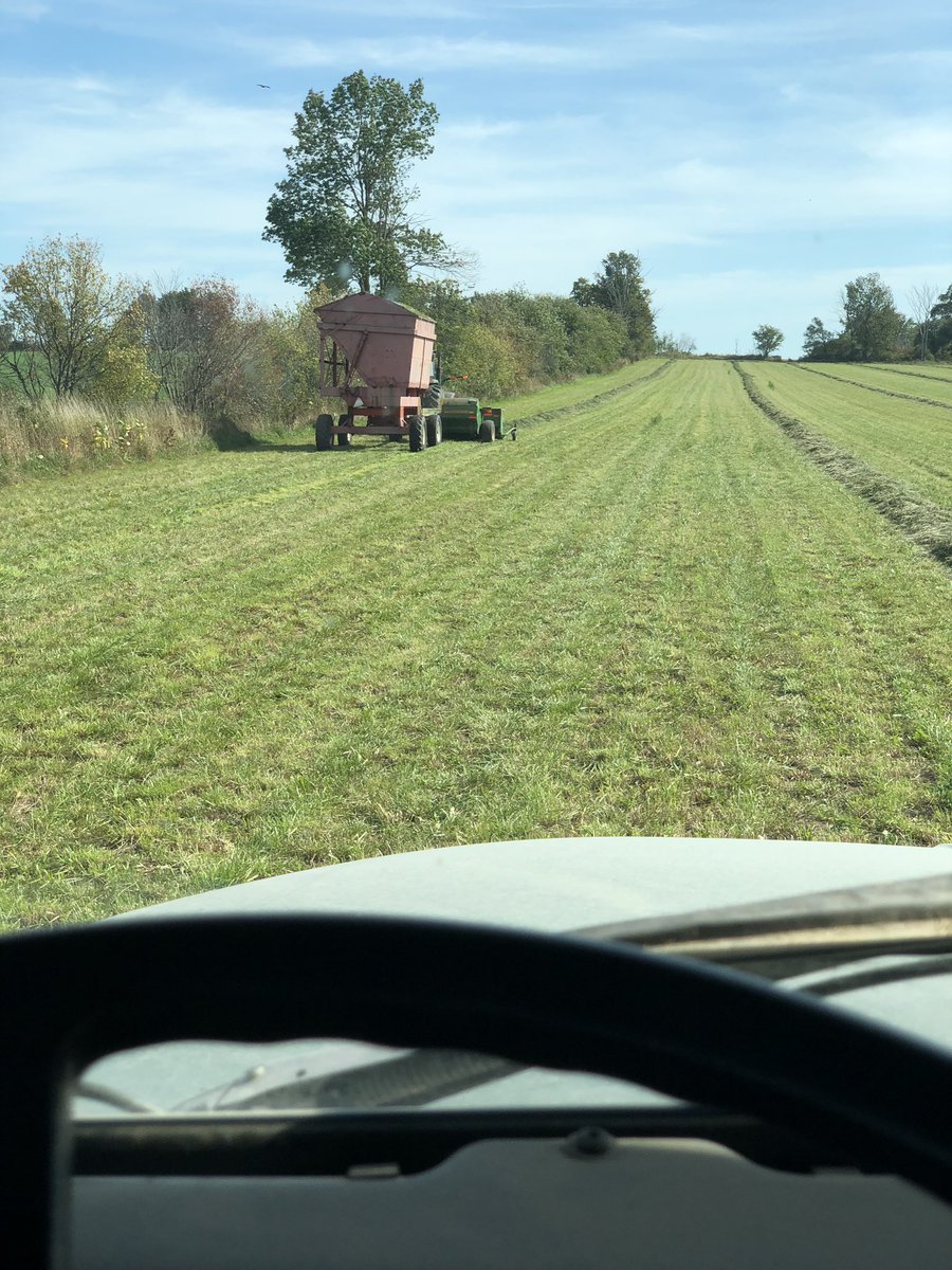 Milk_the_cow4's tweet image. Chop chop #hay19