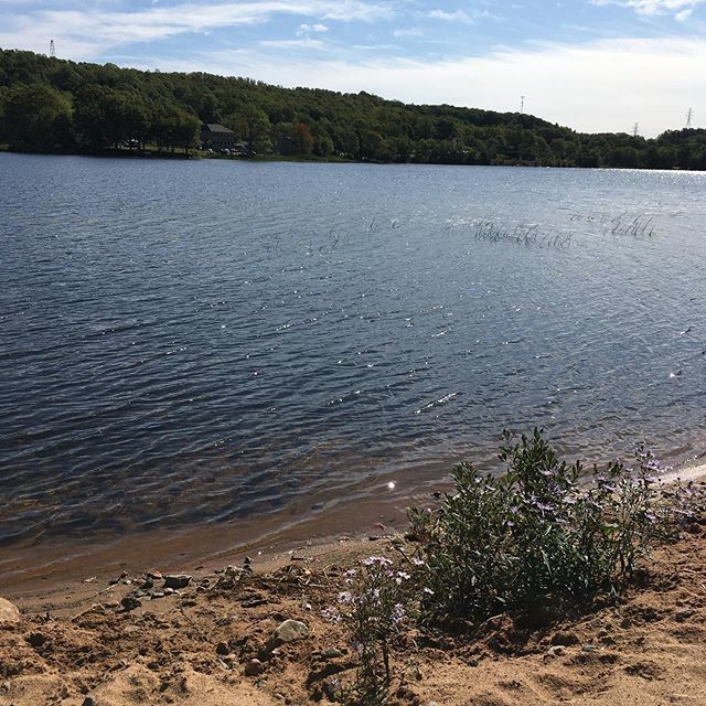 BarracudaHeat's tweet photo. Hard to believe it feels like fall today with all the sun in this picture!
#homesweethome #fall2019 #fallriverns #lakethomas #localns #fletcherslakens #barracudaheat #lovewherewelive #community https://t.co/9WgHtsK5s0 https://t.co/nZ3TnutYY8