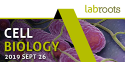 CellBiology_LR's tweet photo. The 2019 Cell Biology Virtual Event is just around the corner, have you registered? Click the link to learn more about this year's topics and keynote speaker. #LRcellbio https://t.co/WNr7Ady8J4
Register for the event (for FREE) here: https://t.co/Fcckav5b6D https://t.co/zLPBdS6Xxc