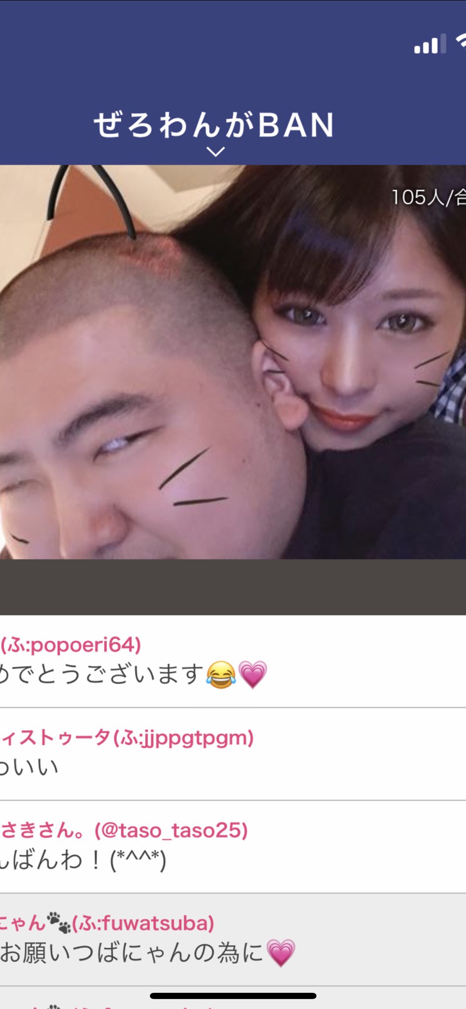 画像 つばにゃん たぬき