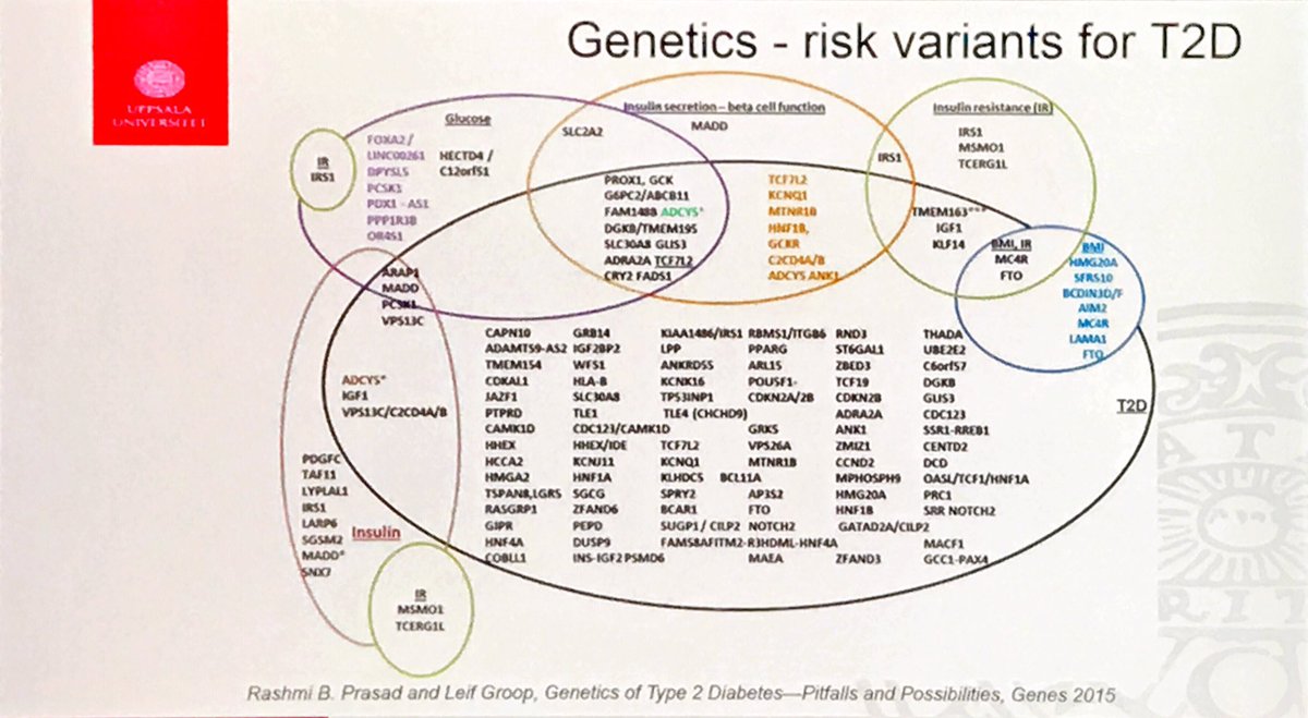 ManuelSerranoQ1's tweet photo. #easd19 Importancia de la medicina de precision👌.Profesor Jan Erikason nos recuerda las diversas caras de las diabetes a propósito de los 5 clúster que se identificaron en mayo 2018. La clave es conocer la causa para dirigir el remedio. No hay un “superfármaco” para todo‼️ https://t.co/M1bbKWTsbu