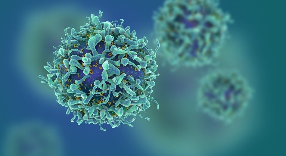 AZoNano's tweet photo. #Nanoparticles Used in the Transportation of Anti-cancer Agents to Cells https://t.co/isVqqndIcg https://t.co/FFcLULWUwO
