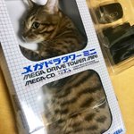 空き箱にすっぽりはまっている猫ちゃん!「出てきなさい」