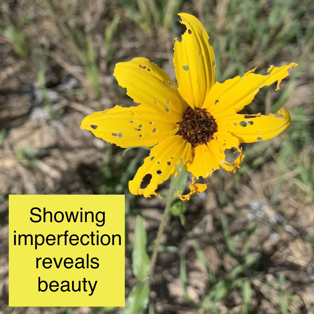 Show me your imperfection. It’s what makes you uniquely beautiful.